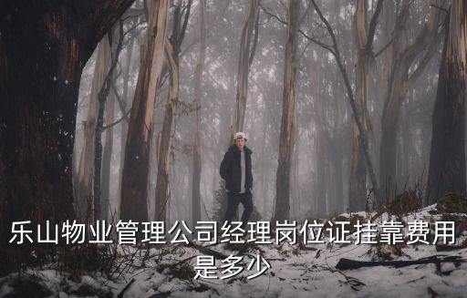 乐山物业管理公司经理岗位证挂靠费用是多少