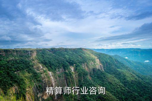 精算师行业咨询