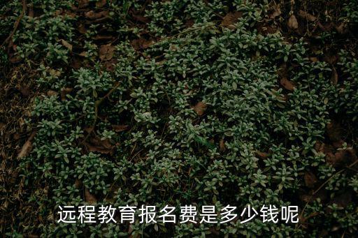 远程教育报名费是多少钱呢