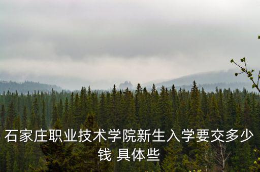 石家庄职业技术学院新生入学要交多少钱 具体些