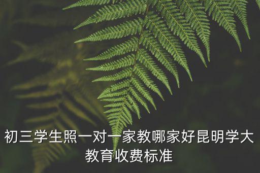 初三学生照一对一家教哪家好昆明学大教育收费标准