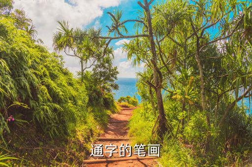 通字的笔画
