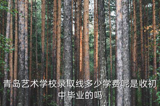 青岛艺术学校录取线多少学费呢是收初中毕业的吗