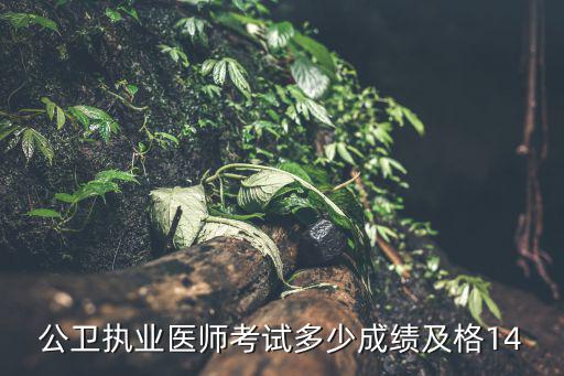 公卫医师资格考试多少成绩通过，公共卫生医师资格考试多少分合格