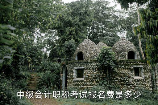 中级会计职称考试报名费是多少
