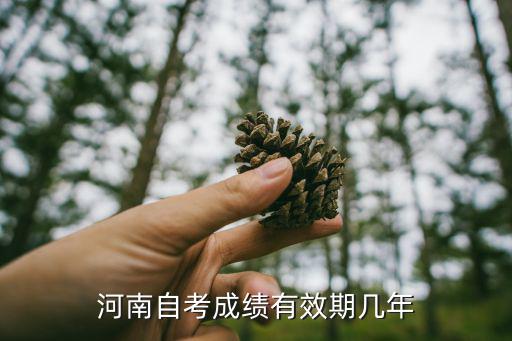 河南自考成绩有效期几年