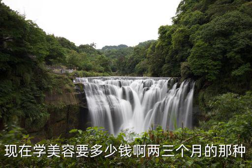 现在学美容要多少钱啊两三个月的那种
