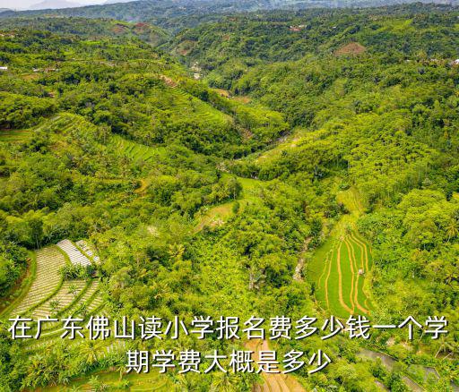 在广东佛山读小学报名费多少钱一个学期学费大概是多少