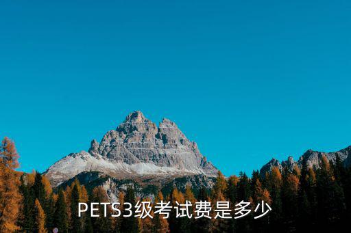 PETS3级考试费是多少