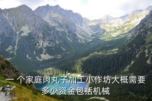 一 个家庭肉丸子加工小作坊大概需要多少资金包括机械