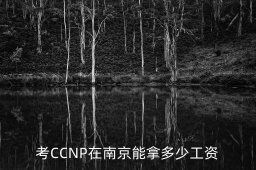 南京ccie工资一般多少，南京seo工资多少啊