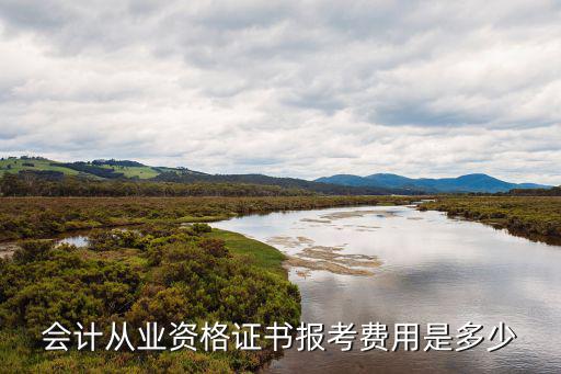 出纳证报名费多少钱，现在考出纳上岗证多少钱难不难啊