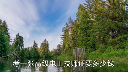 考一张高级电工技师证要多少钱