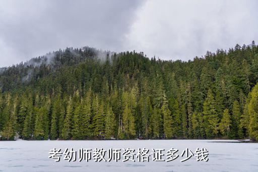 考幼师教师资格证多少钱