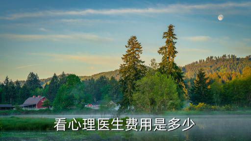 看心理医生费用是多少