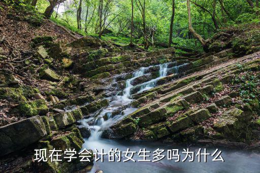 现在学会计的女生多吗为什么