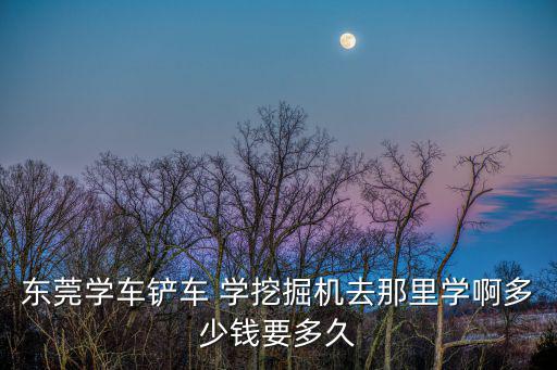 东莞学车铲车 学挖掘机去那里学啊多少钱要多久