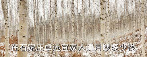 在石家庄卓远宜家人请月嫂多少钱