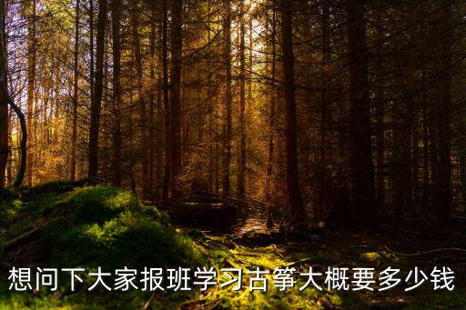 想问下大家报班学习古筝大概要多少钱