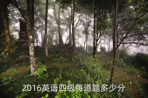 2016英语四级满分多少，2016英语四级每道题多少分