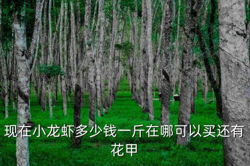 现在小龙虾多少钱一斤在哪可以买还有花甲