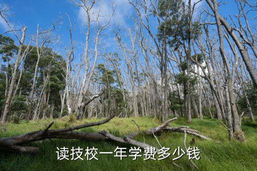 读技校一年学费多少钱