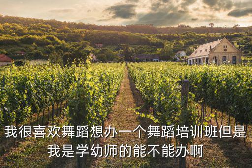 我很喜欢舞蹈想办一个舞蹈培训班但是我是学幼师的能不能办啊