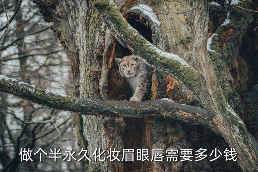 做个半永久化妆眉眼唇需要多少钱