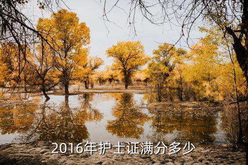 2016年护士证满分多少