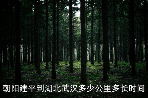 朝阳建平到湖北武汉多少公里多长时间