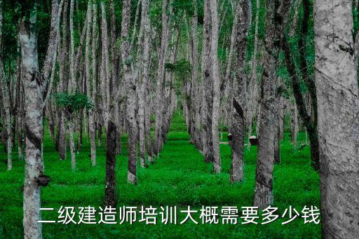 二级建造师培训大概需要多少钱
