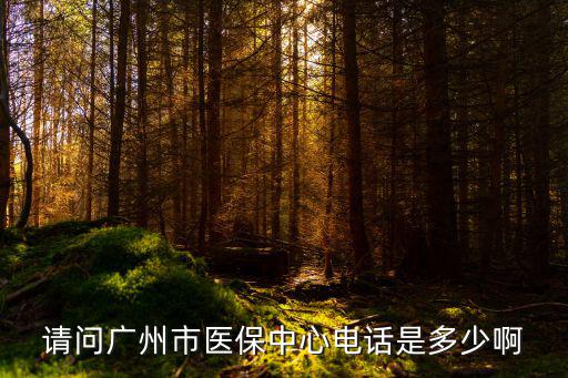 请问广州市医保中心电话是多少啊