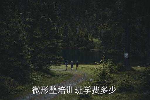 微形整培训班学费多少