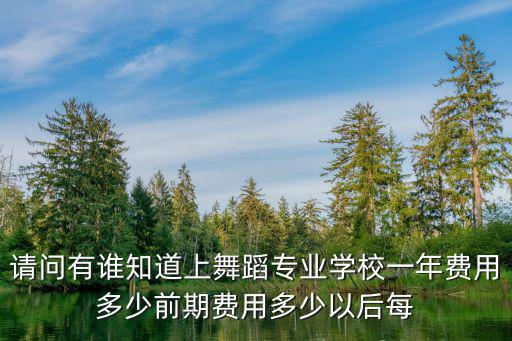请问有谁知道上舞蹈专业学校一年费用多少前期费用多少以后每