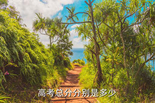 高考总分分别是多少