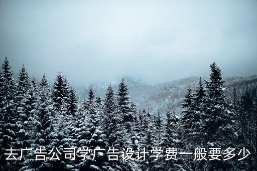 去广告公司学广告设计学费一般要多少