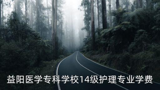益阳卫校的学费多少，益阳医学专科学校14级护理专业学费