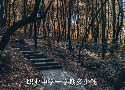 职业中学一学期多少钱