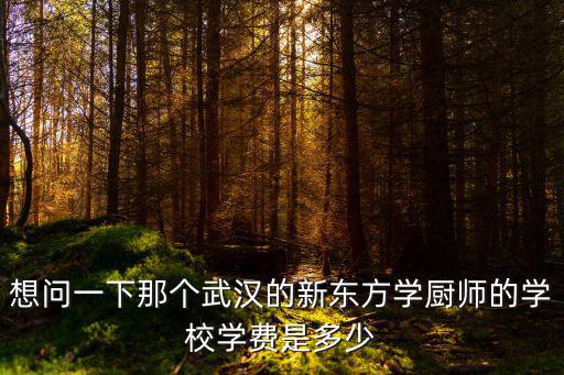 湖北武汉厨师学校学费多少钱一个月，文昌武汉烹饪学校学费是多少