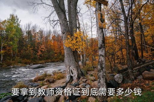 要拿到教师资格证到底需要多少钱
