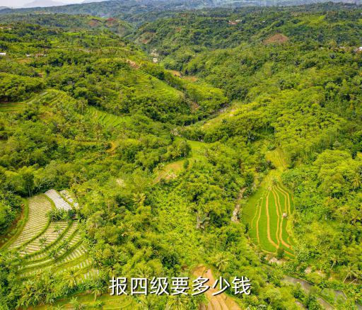 报四级要多少钱