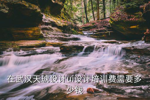 在武汉天琥设计ui设计培训费需要多少钱