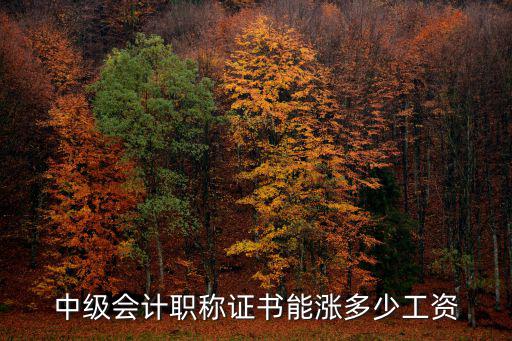 中级会计职称证书能涨多少工资