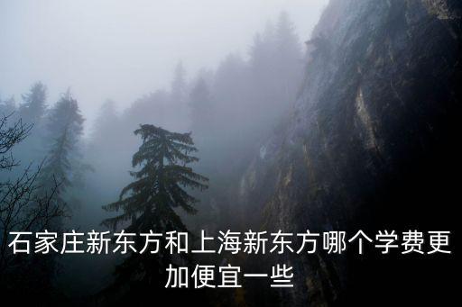 石家庄新东方和上海新东方哪个学费更加便宜一些