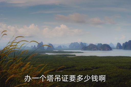 办一个塔吊证要多少钱啊