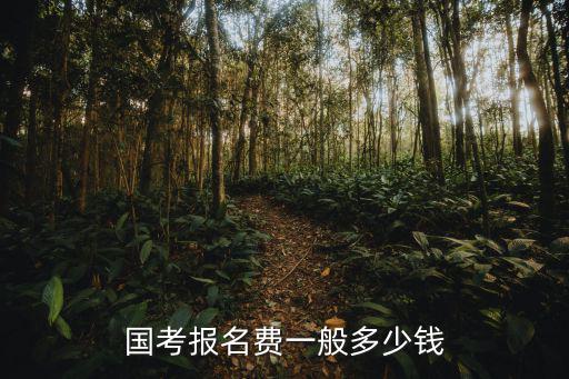 国考报名费一般多少钱
