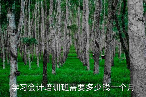 学习会计培训班需要多少钱一个月