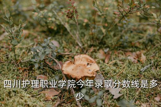 四川护理职业学院今年录取分数线是多少