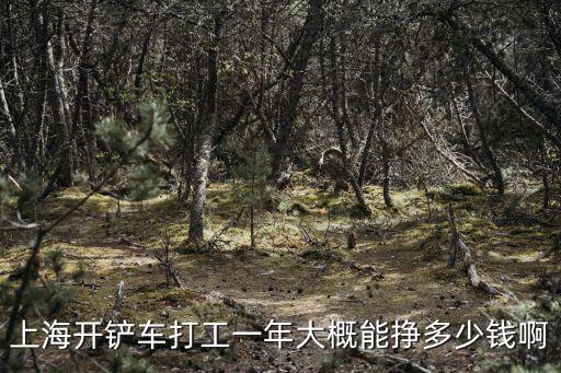 上海开铲车打工一年大概能挣多少钱啊