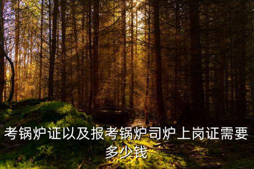 考锅炉证以及报考锅炉司炉上岗证需要多少钱